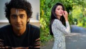 RadhaKrishn fame Sumedh Mudgalkar shares adorable candid snap, Mallika Singh says, “the heart that feels so…”