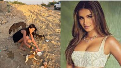 Tara Sutaria feeds stray dogs in Rajasthan while shooting, see pictures