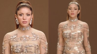 The Waka Waka Girl Shakira In Beautiful Sheer Gown