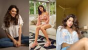 Times when Ananya Panday, Janhvi Kapoor and Hansika Motwani flaunted curves in stylish crop tops