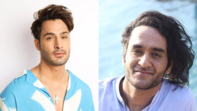 Umar Riaz To Vikas Gupta; Bigg Boss Contestants Who Got Eliminated For Being Physical In House