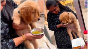 Viral Video: A Woman Treats Her Pet Dog With Some Mouth-Watering Golgappas; Netizens Reacts
