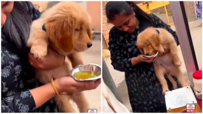 Viral Video: A Woman Treats Her Pet Dog With Some Mouth-Watering Golgappas; Netizens Reacts