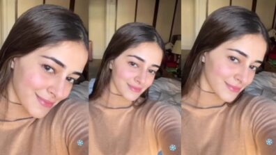 Viral Video: Why is Ananya Panday blushing and smiling?