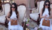 Watch Video: Hansika Motwani gets royal treatment at fine-dine in Jaipur
