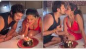 Watch Video: Vikrant Singh and Monalisa immerse in passionate kiss on bed, former says ‘Happy Birthday my love’