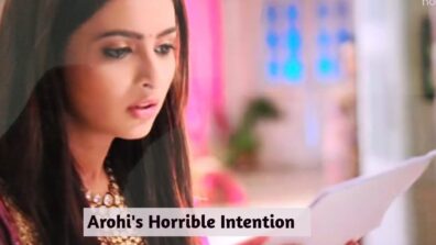 Yeh Rishta Kya Kehlata Hai 03rd November 2022 Written Update S-67 Ep-734 Arohi was shocked after seeing 10% on the cake