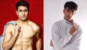 5 Pictures Of Ibrahim Khan Will Make You Sweat; See Now!