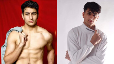 5 Pictures Of Ibrahim Khan Will Make You Sweat; See Now!