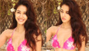 Disha Patani Shows Off-Toned Figure in Hot Pink Bikini; see pics