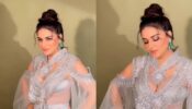 Mera Dil Yeh Pukare Aaja: Shraddha Arya is ultimate visual delight in shimmery, silver slit outfit, we are in love