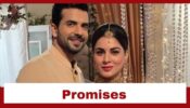 Kundali Bhagya: Rishabh promises to safeguard Preeta