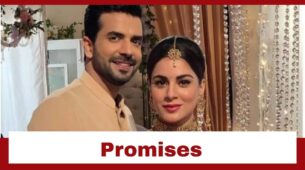 Kundali Bhagya: Rishabh promises to safeguard Preeta