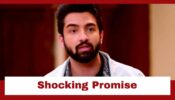 Bhagya Lakshmi: Rishi makes a shocking promise