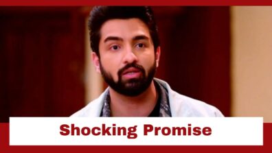 Bhagya Lakshmi: Rishi makes a shocking promise