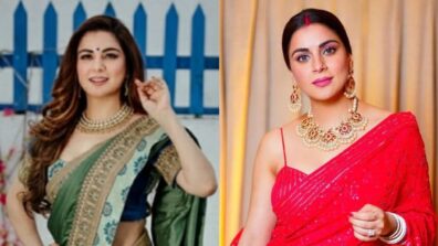 Kundali Bhagya Fame Shraddha Arya And Her Stunning Sarees To Steal For Your Classy Look