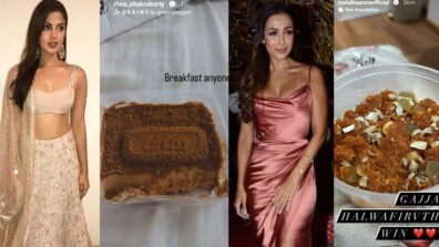 A Cold Cheesecake Or Hot Piping Gajar Halwa? Try These Rhea Chakraborty’s And Malaika Arora’s Scrumptious Dessert Recipe This Winter