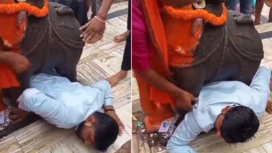 A Man Gets Stuck Under A Elephant Statue In A Temple, Goes Viral On The Internet