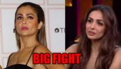 Amrita Arora and Malaika Arora get into an ugly fight during Goa trip