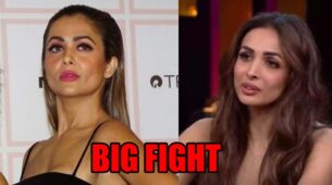 Amrita Arora and Malaika Arora get into an ugly fight during Goa trip