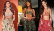 Ananya Panday Vs. Rakul Preet Singh Vs. Disha Patani: Whose Garden Print Tiered Skirt Paired With Blouse Is Your Favorite?