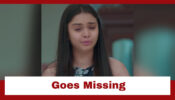 Anupamaa: Shocking!! Pakhi goes missing