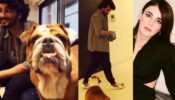 Arjun Kapoor introduces his pet dog Max Kapoor to co-star Radhika Madan  