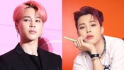 ARMY Scoop: Is BTS member Jimin planning to buy a new luxurious villa in New York?