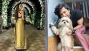 Ashi Singh drops stunner snap in backless saree avatar, Siddharth Nigam says, “kitna masoom…”