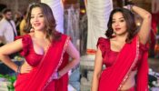 Monalisa Looks Piping Hot In Red Saree, Giving Us 90s Vibes 