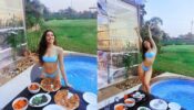 Hotness Alert: Alaya F turns up the heat in December with seductive bikini pictures