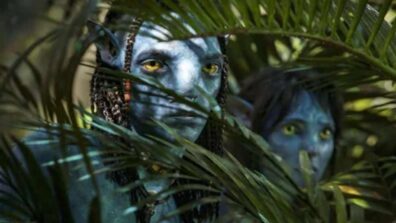 Avatar 2 earns 44-46 crores on day 2, all set to cross 100 crores in opening weekend