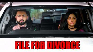 Bhagya Lakshmi: Rishi and Lakshmi file for divorce