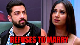 Bhagya Lakshmi: Rishi refuses to marry Malishka