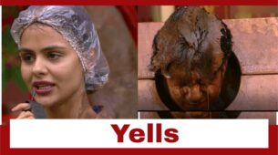 Bigg Boss 16: Ankit Gupta yells ‘Pagal tumne samajke rakha hai muje’ to Priyanka Choudhary