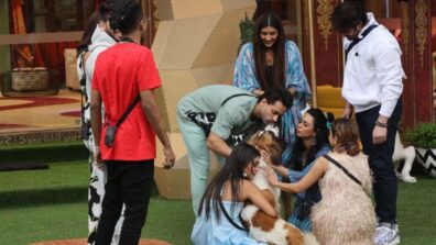 Bigg Boss 16: ‘Bigg Boss’ welcomes new member Maahim