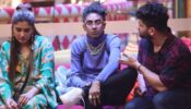 Bigg Boss 16: Captain MC Stan gets a special power