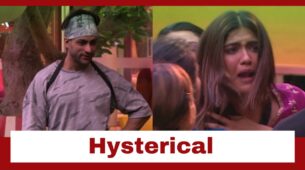 Bigg Boss 16: Nimrit Kaur gets provoked by Shalin Bhanot; reacts hysterically