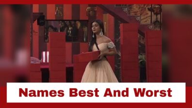 Bigg Boss 16: Sreejita De names the ‘Best and Worst Entertainers’ in the house