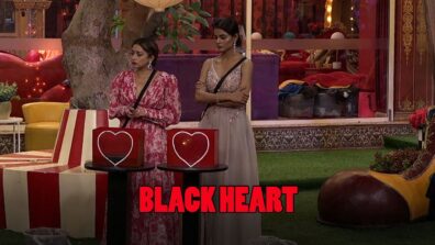 Bigg Boss 16: Tina Datta or Priyanka Chaudhary – Contestants reveal who has the black heart