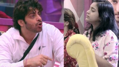 Bigg Boss 16: Vikkas Manaktala calls Sumbul Touqeer a hypocrite and liar