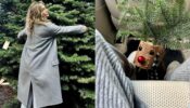 Check Out: Jennifer Aniston’s Festive Vibes Taking Pictures With Christmas Tree; Playing With Rudolph’s And More
