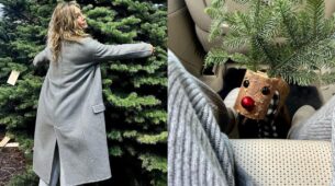 Check Out: Jennifer Aniston’s Festive Vibes Taking Pictures With Christmas Tree; Playing With Rudolph’s And More