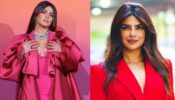 Desi Girl Priyanka Chopra’s Owned Luxurious Things