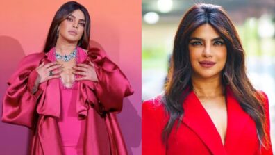 Desi Girl Priyanka Chopra’s Owned Luxurious Things