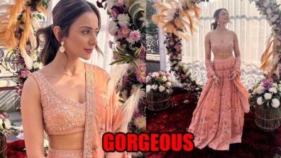 Ethnic Beauty Rakul Preet Singh Looks Glamorous In An Orange Lehenga