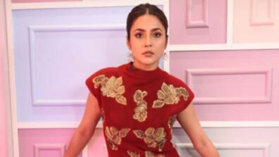 Shehnaaz Gill Rocks Nikita Mhaisalkar Designed Red Mini Dress Incredibly