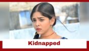 Faltu: Faltu gets kidnapped