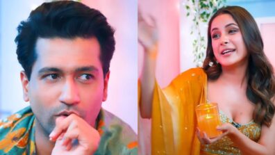 Shehnaaz Gill calls Vicky Kaushal ‘a gem and a genius’, know why