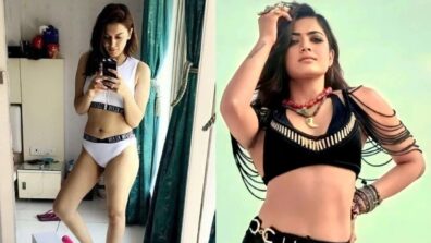 Hansika Motwani And Rashmika Mandanna Oozing Hotness In Bikinis Flaunting Curvaceous Curves